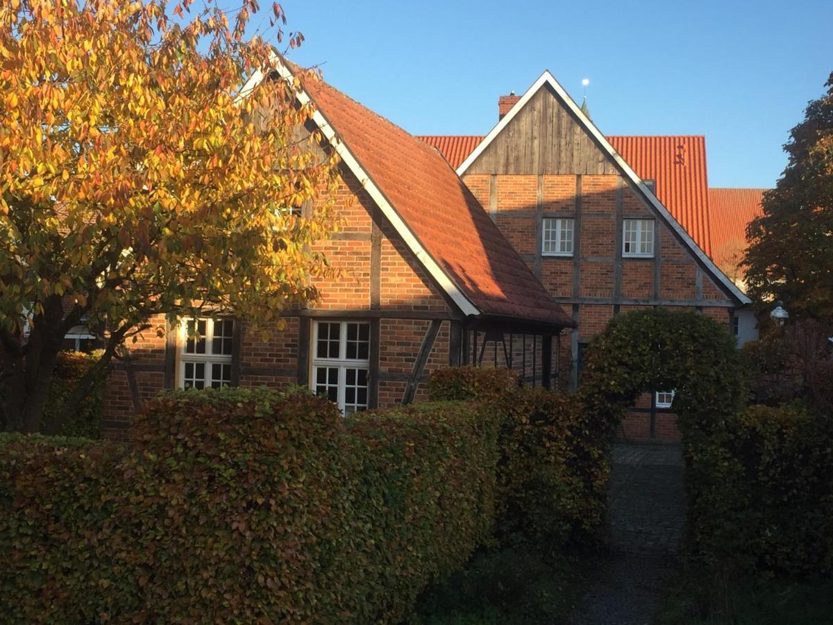Vakantiehuis Cosy